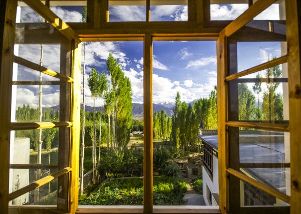 Cost of Wood Window Replacement in Burnsville